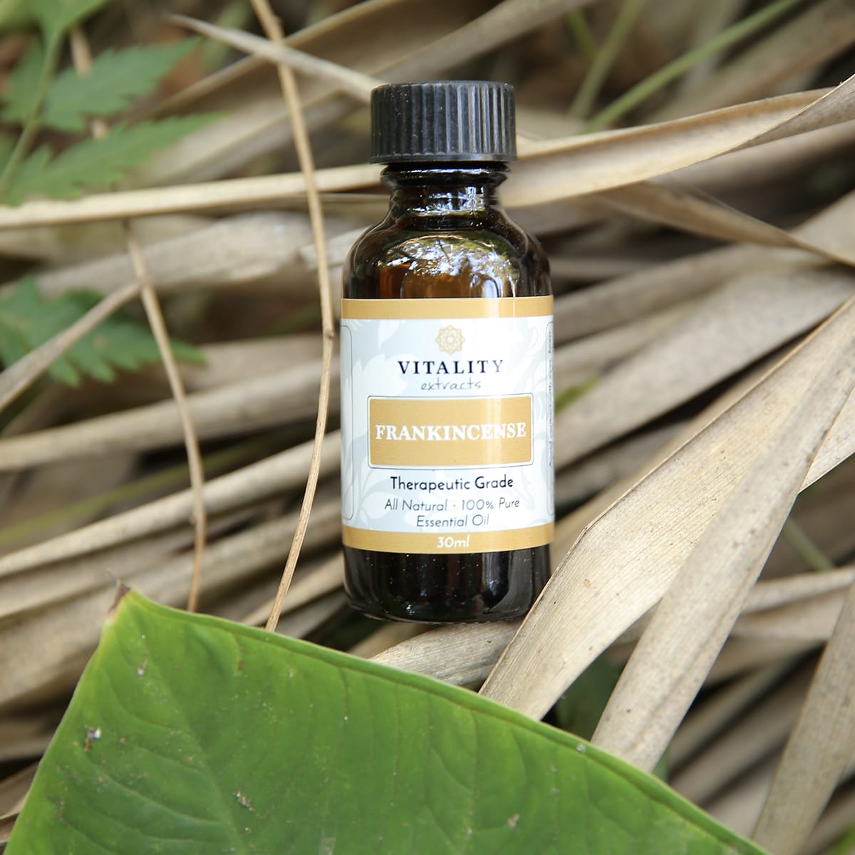 Frankincense Essential Oil Buy 2 Get 2 Free – vitalityarousal
